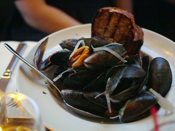 mussels at the ape and bird